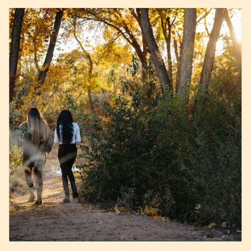 photo of two women walking away from the camera, down a tree-lined trail at sunset. 