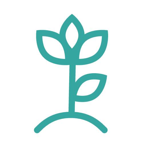 an illustrated teal icon of a plant growing from the earth, indicating "plant-based" 