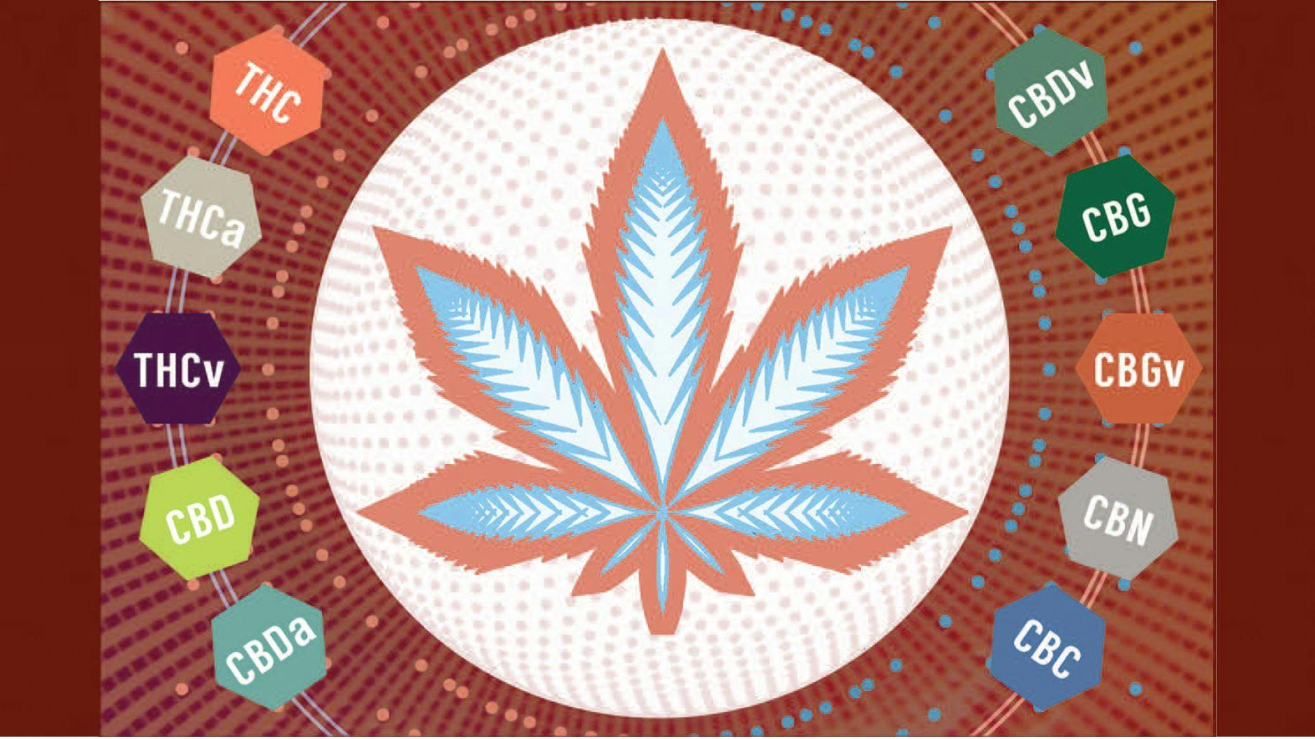 an illustrated graphic of a cannabis leaf surrounded by various cannabinoids such as THC, THCa, THCv, CBD, CBDa, CBDv, CBG, CBGv, CBN, CBC.